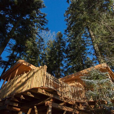 Domaine De L'Authentique Cabanes Dans Les Arbres Fournet-Blancheroche Eksteriør billede