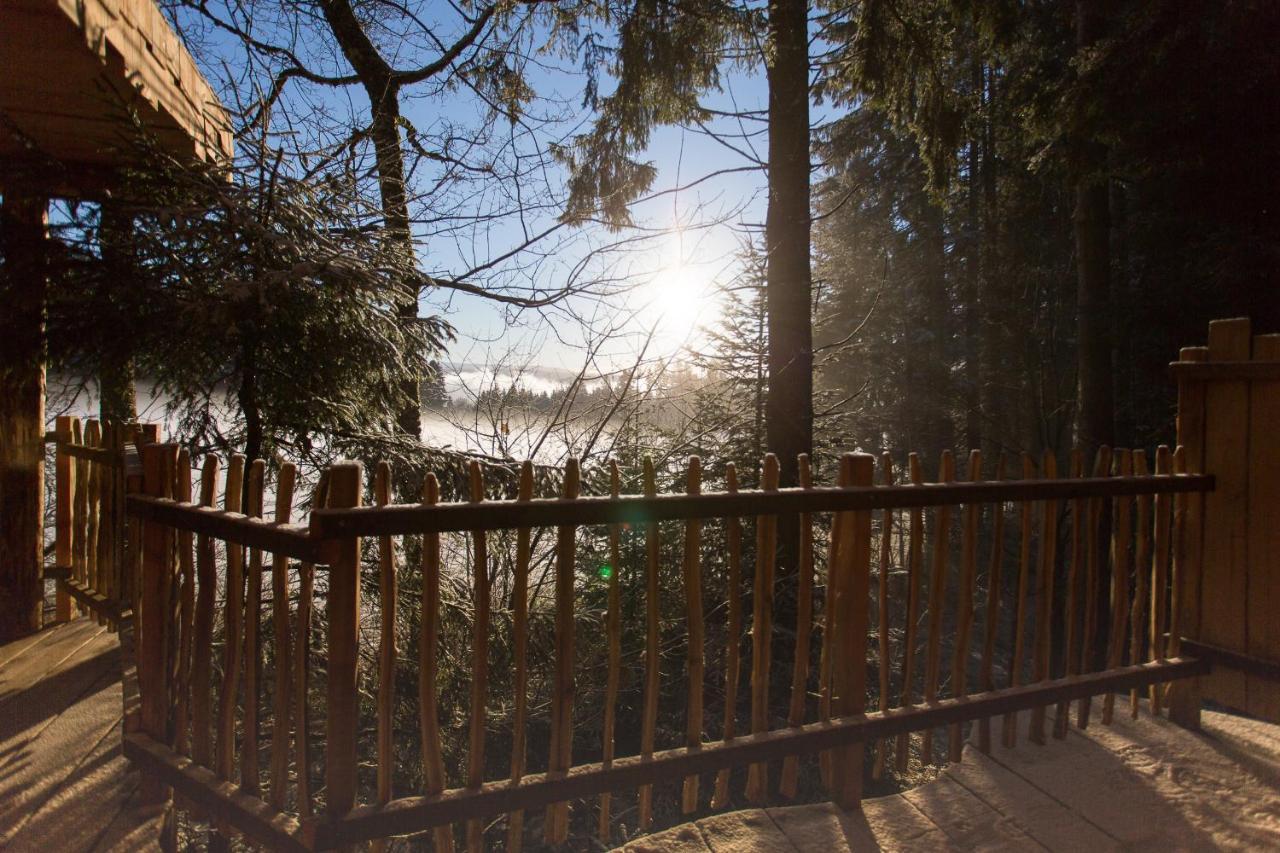 Domaine De L'Authentique Cabanes Dans Les Arbres Fournet-Blancheroche Eksteriør billede