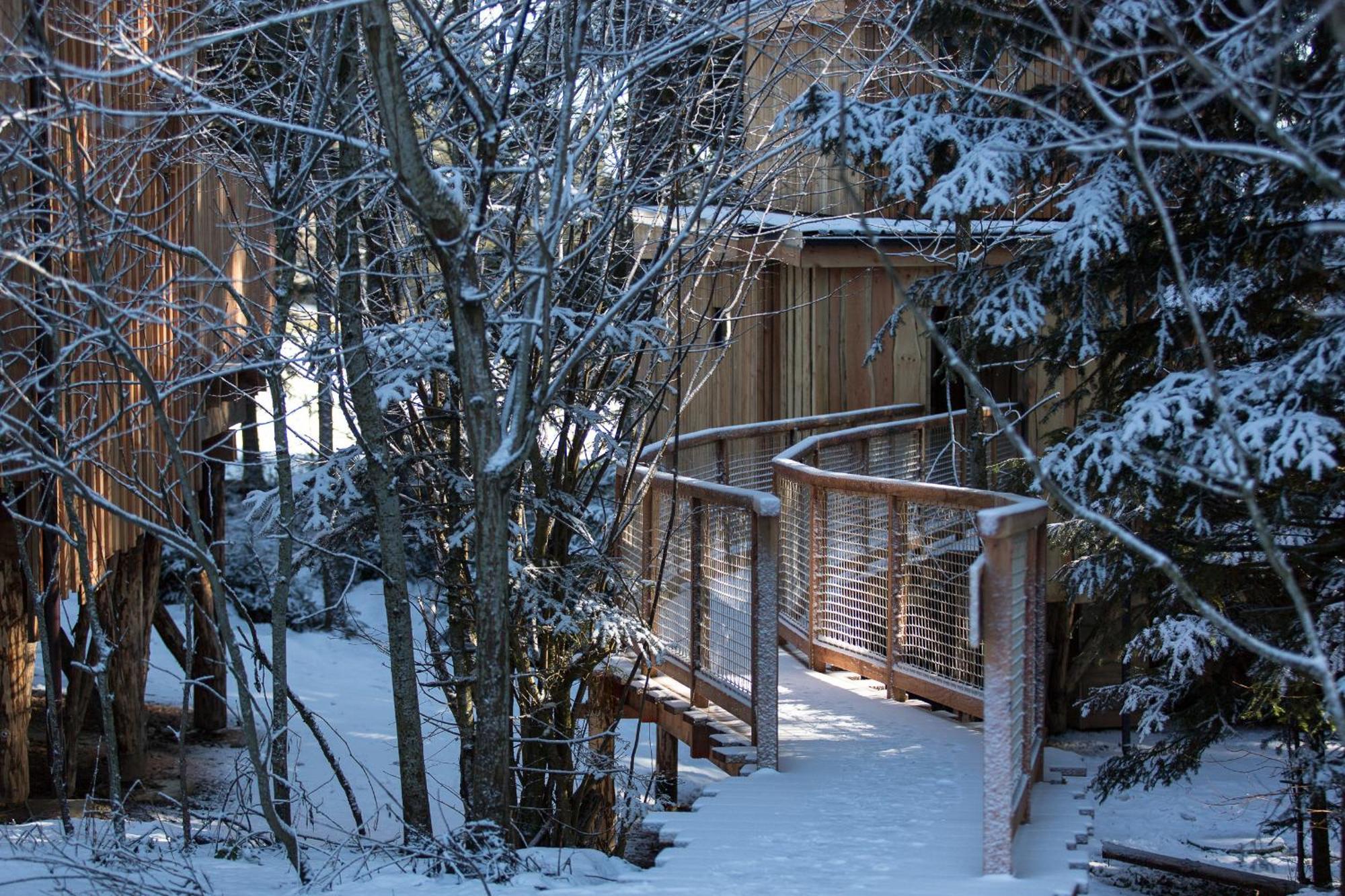 Domaine De L'Authentique Cabanes Dans Les Arbres Fournet-Blancheroche Værelse billede